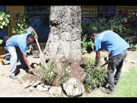 Members of the Manpower and Maintenance team hard at work during the renovation of the gardens at the John Mills Primary School, where a reading garden was erected to help foster healthy habits for students.